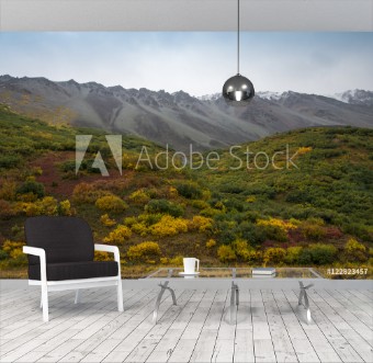 Picture of Tundra in Denali State Park